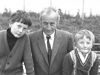 Ballinrobe mart July 1972. - Lyons0016927.jpg  Ballinrobe mart July 1972. : 19720706 Mart in Ballinrobe 1.tif, 19720706 Mart in Balluinrobe 1.tif, Ballinrobe, Farmers Journal, Lyons collection