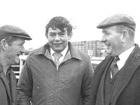 Ballinrobe mart, January 1973. - Lyons0016954.jpg  Ballinrobe mart, January 1973. Centre Isador Joyce. : 19730118 3.tif, 19730118 Ballinrobe Mart 3.tif, Ballinrobe, Farmers Journal, Lyons collection