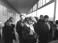 Open day at Creagh Institute, Ballinrobe. - Lyons0016957.jpg  Open day at Creagh Institute, Ballinrobe.  Centre veterinary surgeon Pat Daly Director of the Research Institute. February 1973. : 19730222 Open Day at Creagh Institute 1.tif, Ballinrobe, Lyons collection