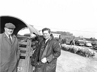 Ballinrobe Mart, March 1973.. - Lyons0016963.jpg  Broddie Mc Greal and Patsy Ketterick. Ballinrobe Mart, March 1973. : 19730314 Ballinrobe Mart 3.tif, Ballinrobe, Farmers Journal, Lyons collection