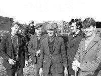 Ballinrobe Mart, March 1973.. - Lyons0016964.jpg  At extreme right John Judge, Westport.  Ballinrobe Mart, March 1973. : 19730314 Ballinrobe Mart 4.tif, Ballinrobe, Farmers Journal, Lyons collection