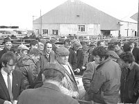 Ballinrobe Mart, March 1973.. - Lyons0016973.jpg  Ballinrobe Mart, March 1973. : 19730328 Ballinrobe Mart 7.tif, Ballinrobe, Farmers Journal, Lyons collection