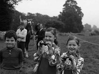 Ballinrobe Show, September 1973. - Lyons0016989.jpg  Ballinrobe Show, September 1973. : 1973 Misc, 19730913 Ballinrobe Show 2.tif, Ballinrobe, Lyons collection