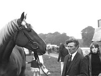 Ballinrobe Show, September 1973. - Lyons0016999.jpg  Josie Gavin, Westport with his prize winning mare.  Ballinrobe Show, September 1973. : 1973 Misc, 19730913 Ballinrobe Show 12.tif, Ballinrobe, Lyons collection