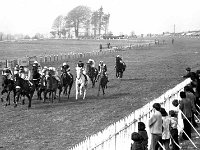 Ballinrobe Races, April 1974. - Lyons0017020.jpg  Ballinrobe Races, April 1974. : 1974 Misc, 19740404 Ballinrobe Races 6.tif, Ballinrobe, Lyons collection