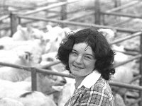 Breeding ewe sale at Ballinrobe Mart, August 1975. - Lyons0017045.jpg  . Breeding ewe sale at Ballinrobe Mart, August 1975. : 19750828 Breeding ewe sale at Ballinrobe Mart 2.tif, Ballinrobe, Farmers Journal, Lyons collection