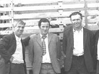 Breeding ewe sale at Ballinrobe Mart, August 1975. - Lyons0017048.jpg  . Breeding ewe sale at Ballinrobe Mart, August 1975. : 19750828 Breeding ewe sale at Ballinrobe Mart 5.tif, Ballinrobe, Farmers Journal, Lyons collection