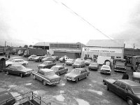 Ballinrobe mart, August 1977. - Lyons0017055.jpg  Ballinrobe mart, August 1977. : 1977 Misc, 19770824 Ballinrobe Mart 3.tif, Ballinrobe, Lyons collection