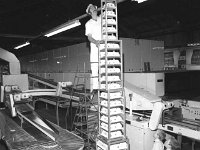 25 Tier Cake for Western Pride Bakery, Ballinrobe, October 1977. - Lyons0017062.jpg  25 Tier Cake for Western Pride Bakery, Ballinrobe, October 1977.  Master confectioner putting the finishing touches to a 25 tier wedding cake for a travellers wedding watched on by some local children. : 1977 Misc, 19771025 25 Tier Cake for Western Pride Bakery.tif, 19771025 Tier Cake for Western Pride Bakery.tif, 1977102525 Tier Cake for Western Pride Bakery.tif, Ballinrobe, Lyons collection