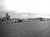 Ballinrobe Races, June 1980. - Lyons0017074.jpg  Ballinrobe Races, June 1980. : 1980 Misc, 19800606 Ballinrobe Races 1.tif, Ballinrobe, Lyons collection