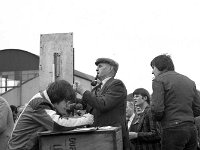 Ballinrobe Races, June 1980. - Lyons0017075.jpg  Ballinrobe Races, June 1980. : 1980 Misc, 19800606 Ballinrobe Races 2.tif, Ballinrobe, Lyons collection