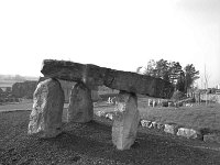 Dolmen stones at Ballintubber Abbey, October 1988 - Lyons Ballintubber Abbey-79.jpg  Dolmen stones at Ballintubber Abbey, October 1988. : 198810 Ballintubber Abbey 4.tif, Ballintubber Abbey, Lyons collection