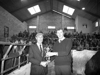 Ballyhaunis Mart Show and Sales, October 1977. - Lyons0017869.jpg  Ballyhaunis Mart Show and Sales, October 1977. : 19771011 Ballyhaunis Mart Show & Sales 1.tif, Ballyhaunis, Farmers Journal, Lyons collection