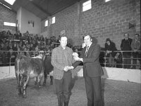 Ballyhaunis Mart Show and Sales, October 1977. - Lyons0017870.jpg  Ballyhaunis Mart Show and Sales, October 1977. : 19771011 Ballyhaunis Mart Show & Sales 2.tif, Ballyhaunis, Farmers Journal, Lyons collection