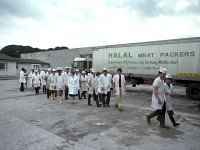 Halal Meat Packers, Ballyhaunis, February 1980.. - Lyons0017878.jpg  Halal Meat Packers, Ballyhaunis, February 1980.