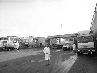 Halal Meat Packers, Ballyhaunis, October 1985. - Lyons0017889.jpg  Halal Meat Packers, Ballyhaunis, October 1985. : 19851031 Halal Meat Packers Ltd 1.tif, Ballyhaunis, Lyons collection