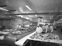 Halal Meat Packers, Ballyhaunis, October 1985. - Lyons0017890.jpg  Halal Meat Packers, Ballyhaunis, October 1985. : 19851031 Interior of Halal 1.tif, Ballyhaunis, Lyons collection