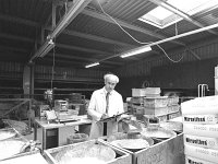 Tom Duffy checking the ingredients for his cow mattproduction in Belmullet. October 1993. - Lyons0018146.jpg  Article " Home comforts for man and beast " by Sonia Kelly for the Farmers Journal. Cow matts are made from a rubber compound and used for horses and cows. Tom Duffy checking the ingredients for his cow mattproduction in Belmullet. October 1993. : 199310 Tom Duffy checking the ingredients for his cow matt produ, 199310 Tom Duffy checking the ingredients for his cow matt production in Belmullet.tif, Farmers Journal, Lyons collection