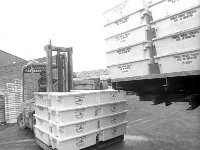 Erris Co-op Belmullet, July 1979. - Lyons0018167.jpg  Fish stock being loaded at Erris co-op, Belmullet, July 1979. : 1979 Misc, 19790717 Erris Co-op Belmullet 3.tif, Lyons collection