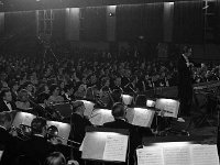 Castlebar International song Contest, 1973 - Lyons0005491.jpg  Castlebar Song Contest 1973.  Colman Pearce conducts the RTE Concert Orchestra before a huge audience. : Castlebar Song Contest, Pearce