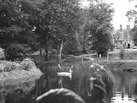 The lake at Breaffy House Hotel, Castlebar, August 1966. - Lyons0012334.jpg  The lake at Breaffy House Hotel, Castlebar, August 1966. : 196608 Lake at Breaffy House Hotel.tif, Castlebar, Lyons collection