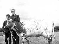Castlebar Agricultural Show, July 1968. - Lyons0012520.jpg  Castlebar Agricultural Show, July 1968. : 19680704 Castlebar Show.tif, Castlebar, Farmers Journal, Lyons collection