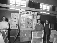 Career Exhibition in the Royal Ballroom Travellers Friend Castle - Lyons0012645.jpg  Career Exhibition in the Royal Ballroom Travellers Friend Castlebar, October 1970. Department of Labour. : 19701026 Career Guidance Exhibition 2.tif, Castlebar, Lyons collection