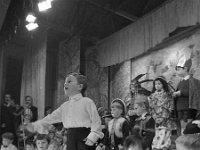 Concert in the De La Salle Boy's School Castleba, March 1971. - Lyons0012691.jpg  Concert in the De La Salle Boy's School Castleba, March 1971. : 19710328 Concert in De La Salle Primary School 1.tif, Castlebar, Lyons collection