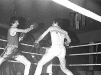 Boxing Tournament in the Royal Ballroom, Castlebar, February 197 - Lyons0012763.jpg  Boxing Tournament in the Royal Ballroom, Castlebar, February 1972. : 1972 Misc, 19720226 Boxing Tournament in the Royal Ballroom 4.tif, Castlebar, Lyons collection