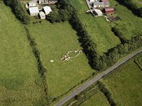 Aerial photo of North Mayo, 1992. - Lyons00-20748.jpg  Farm buildings and hedges in North Mayo. : 19920819 North Mayo Scene 3.tif, Ceide Fields, Lyons collection