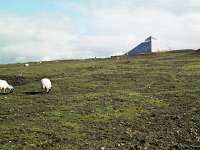 Ceide Fields Visitor Centre, 1993. - Lyons00-20763.jpg  Sheep grazing in the vicinity of the Ceide Visitor Centre. : 199208 Sea Caves.tif, Ceide Fields, Lyons collection