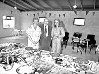 Electricity switch-on, Clare Island - Lyons0009129.jpg  Clare Island : switch on of electricity on the island. At the reception for the switching on of the ESB by Sean Mc Bride. At right Mary Mc Bride Walsh, Westport and Kay O' Grady Proprietor of Clare Island Hotel. (Neg 22A 18)