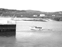 Electricity switch-on, Clare Island - Lyons0009132.jpg  Clare Island : switch on of electricity on the island. Guests for the switching on of the ESB arriving on the ferry at the new pier on Clare Island. (Neg 6 6A)