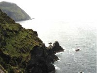 Clare Island cliffs. - Lyons0009179.jpg  Clare Island cliffs. (Neg 33A 34)