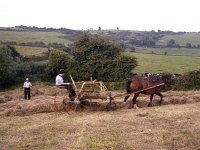 Making the hay in Claremorris, 1978 - Lyons0013248.jpg  Making the hay in Claremorris, 1978 : 197807 Making the hay 1.tif, Claremorris, Lyons collection