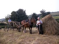 Making the hay in Claremorris, 1978 - Lyons0013249.jpg  Making the hay in Claremorris, 1978 : 197807 Making the hay 2.tif, Claremorris, Lyons collection