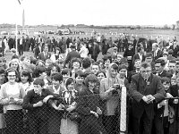 Claremorris Show, August 1967. - Lyons0013291.jpg  Claremorris Show, August 1967. : 19670825 Claremorris Show 1.tif, Claremorris, Lyons collection