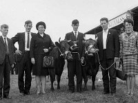 Claremorris Show, August 1967. - Lyons0013294.jpg  Claremorris Show, August 1967. : 19670825 Claremorris Show 4.tif, Claremorris, Lyons collection