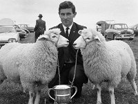 Claremorris Show, August 1967. - Lyons0013297.jpg  Claremorris Show, August 1967. : 19670825 Claremorris Show 7.tif, Claremorris, Lyons collection