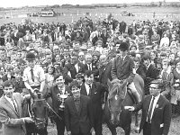 Claremorris Show, August 1967. - Lyons0013298.jpg  Claremorris Show, August 1967. : 19670825 Claremorris Show 8.tif, Claremorris, Lyons collection