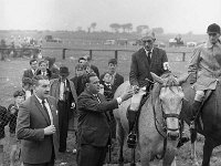 Claremorris Show, August 1967. - Lyons0013300.jpg  Claremorris Show, August 1967. : 19670825 Claremorris Show 10.tif, Claremorris, Lyons collection