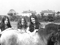 Claremorris Show, August 1971. - Lyons0013350.jpg  Claremorris Show, August 1971. : 19710820 Claremorris Show 1.tif, Claremorris, Farmers Journal, Lyons collection