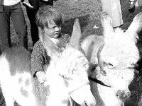 Claremorris Show, August 1972. - Lyons0013382.jpg  Claremorris Show, August 1972. : 1972 Misc, 19720817 Claremorris Show 8.tif, Claremorris, Lyons collection