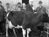 Claremorris Show and Sales, April 1975. - Lyons0013448.jpg  Claremorris business man Paddy smith presenting the cup to the winner of the best dairy cow at Claremorris mart. Claremorris show and sales, April 1975. : 19750408 Claremorris Show & Sale 2.tif, Claremorris, Farmers Journal, Lyons collection