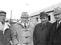 Claremorris Show and Sales, April 1975. - Lyons0013449.jpg  Claremorris show and sales, April 1975. : 19750408 Claremorris Show & Sale 3.tif, Claremorris, Farmers Journal, Lyons collection