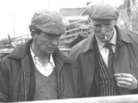 Claremorris Mart, April 1975. - Lyons0013451.jpg  Claremorris Mart, April 1975. : 19750411 Claremorris Mart 1.tif, Claremorris, Farmers Journal, Lyons collection