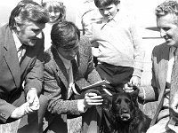 Claremorris Show, August 1975 - Lyons0013456.jpg  Claremorris Show, August 1975 : 19750813 Claremorris Show 2.tif, Claremorris, Farmers Journal, Lyons collection