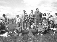 Claremorris Show, August 1975 - Lyons0013457.jpg  Claremorris Show, August 1975 : 19750813 Claremorris Show 3.tif, Claremorris, Farmers Journal, Lyons collection