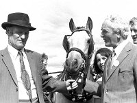 Claremorris Show, August 1975 - Lyons0013461.jpg  Claremorris Show, August 1975 : 19750813 Claremorris Show 7.tif, Claremorris, Farmers Journal, Lyons collection