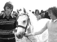 Claremorris Show, August 1975 - Lyons0013462.jpg  Claremorris Show, August 1975 : 19750813 Claremorris Show 8.tif, Claremorris, Farmers Journal, Lyons collection